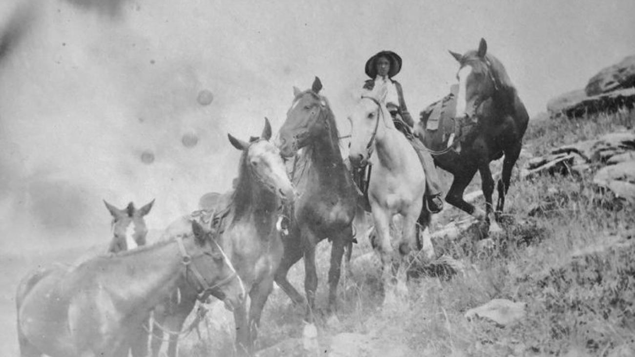 Rider on horseback with a herd, rocky hillside in background.