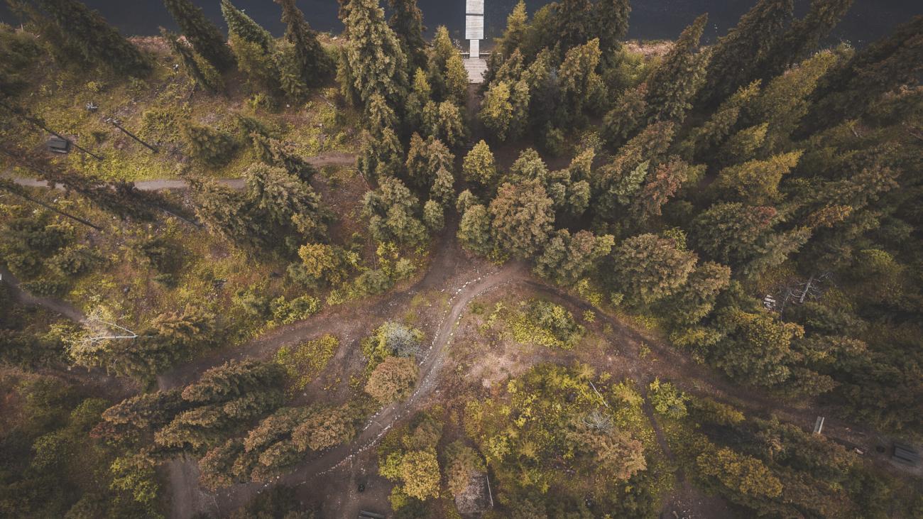 Aerial view of heavily forested area. There is a small jetty at the top.