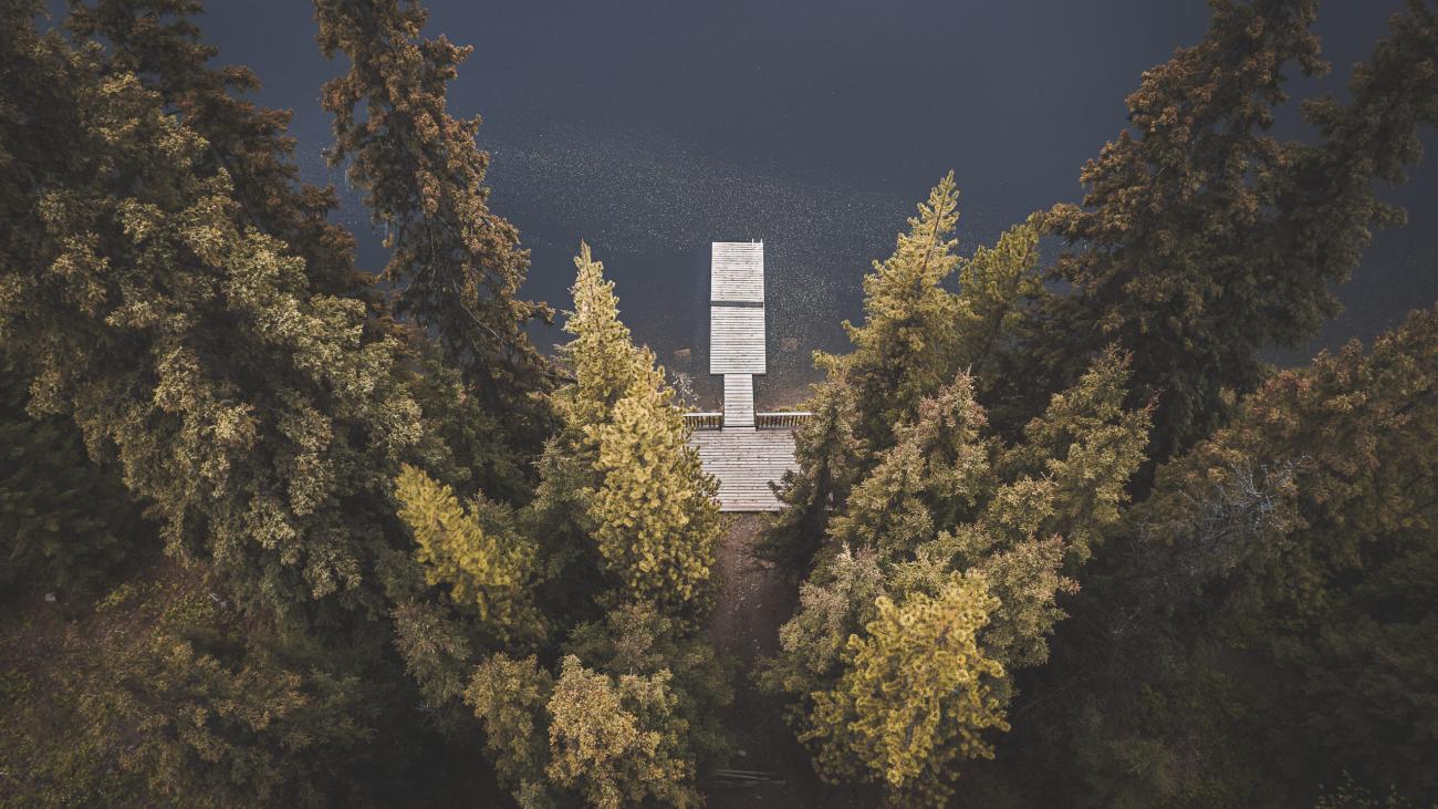 Aerial view of jetty in the middle of a wooded area.