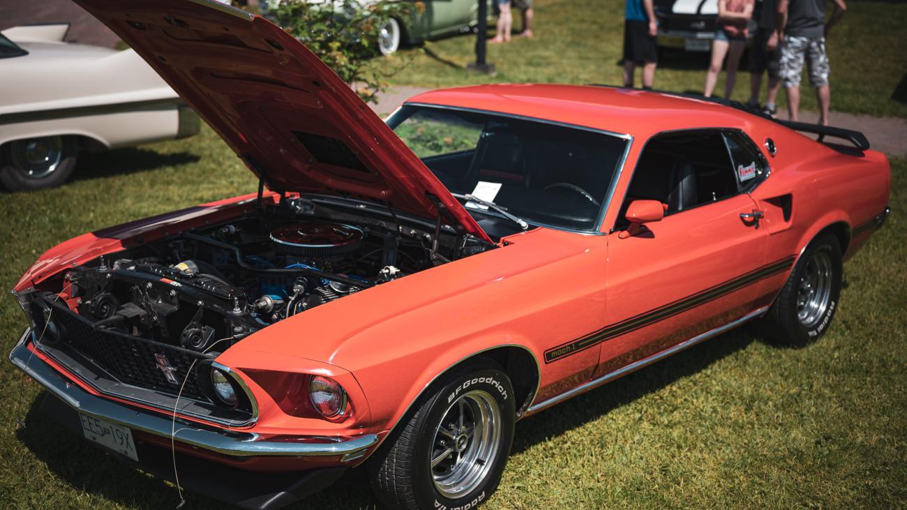 Orange classic car with hood open, parked on grass at a car show.