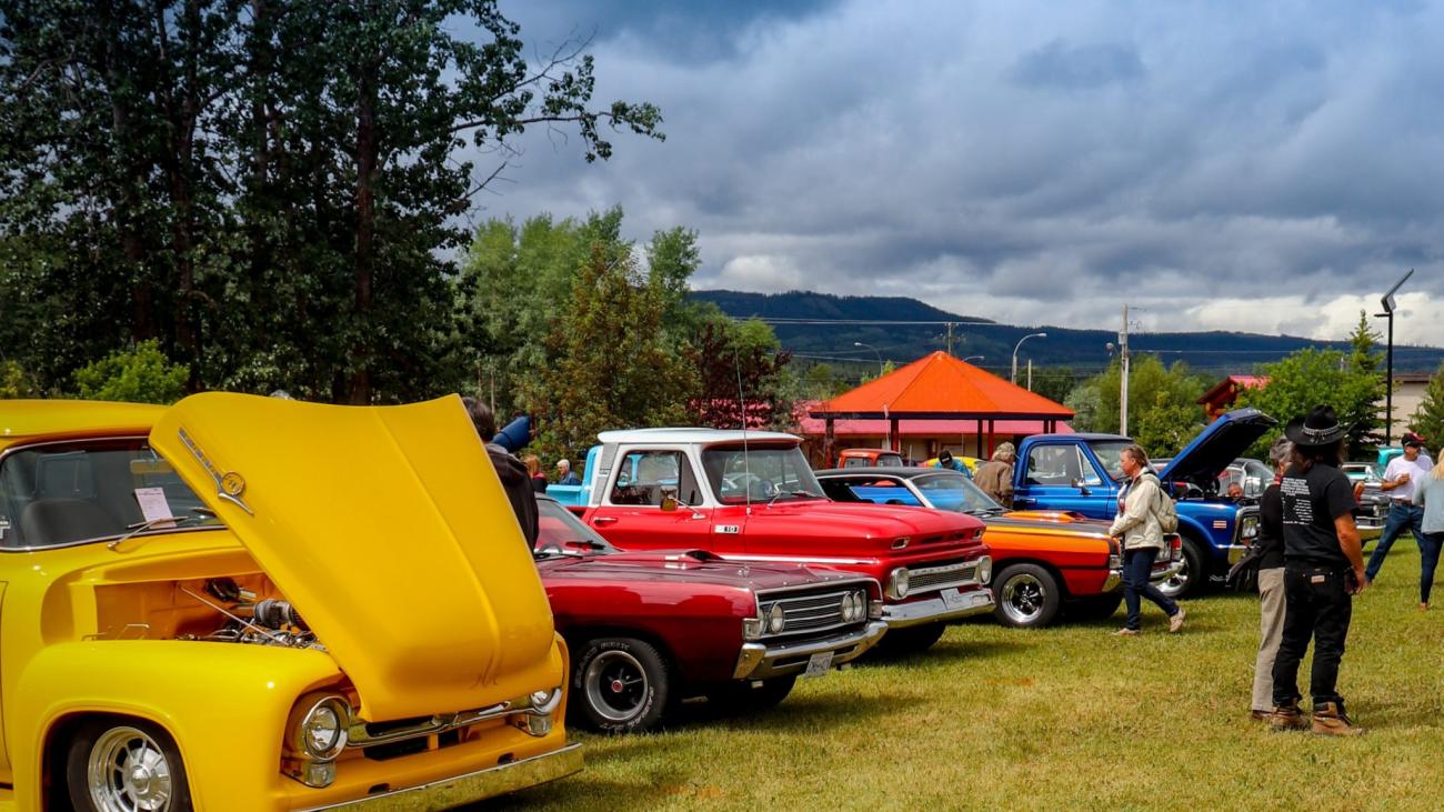 Classic cars lined up on grass under a cloudy sky.