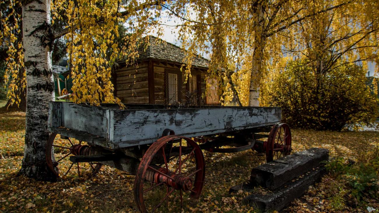 Old wagon under autumn trees with golden leaves.