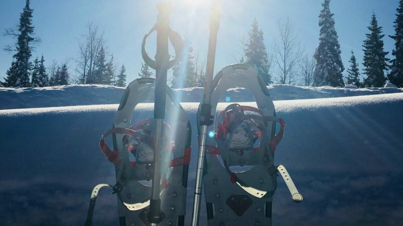 Snowshoes and poles in bright sunlight, surrounded by snow and trees.