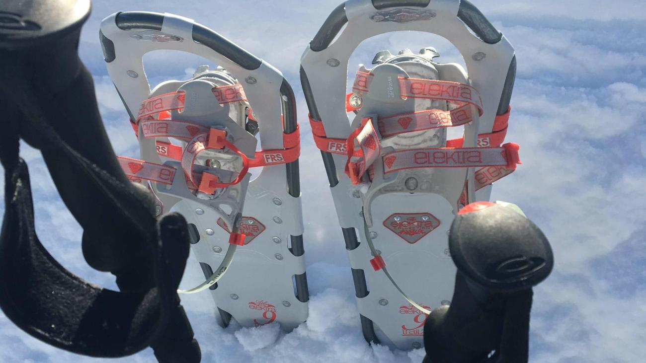 Pair of snowshoes and trekking poles on fresh snow.