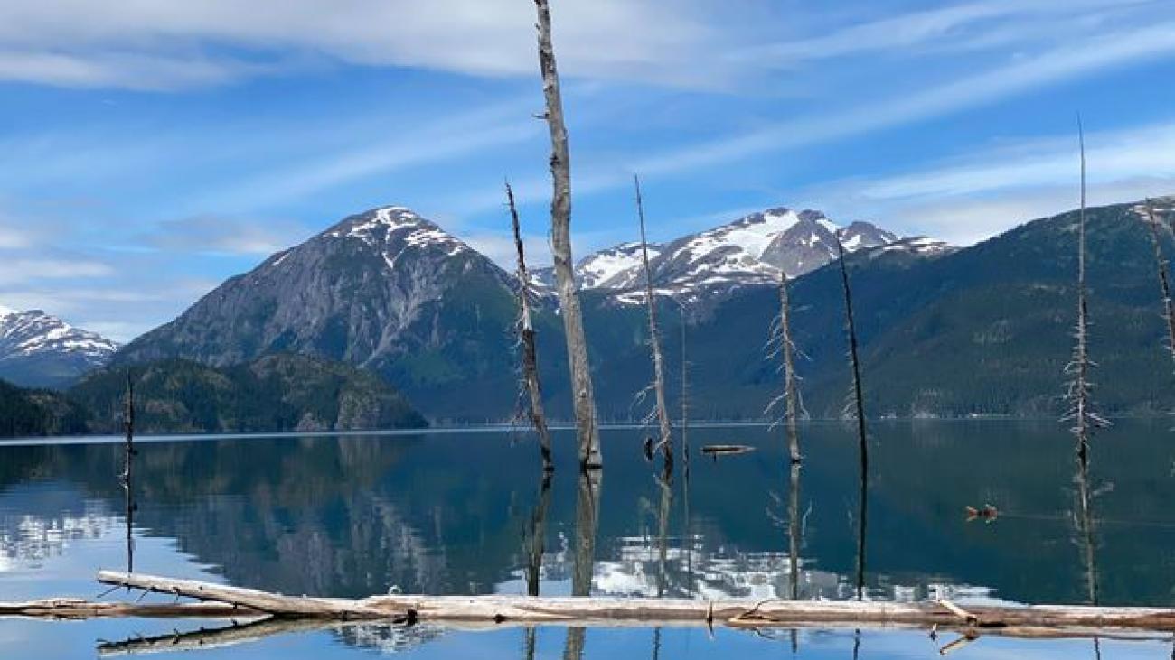 Snow-capped mountains and standing dead trees reflected in a serene mountain lake.