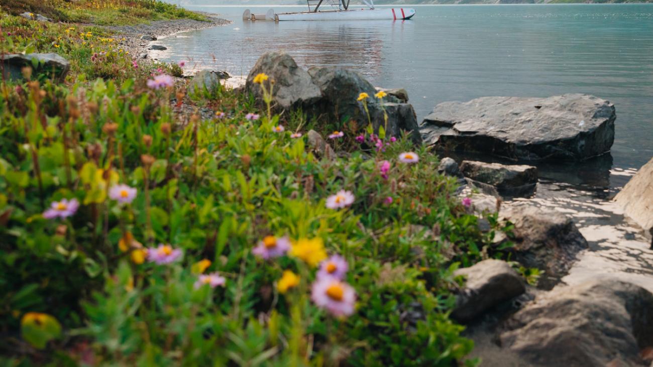 Seaplane on a lake with mountains and wildflowers in the foreground.