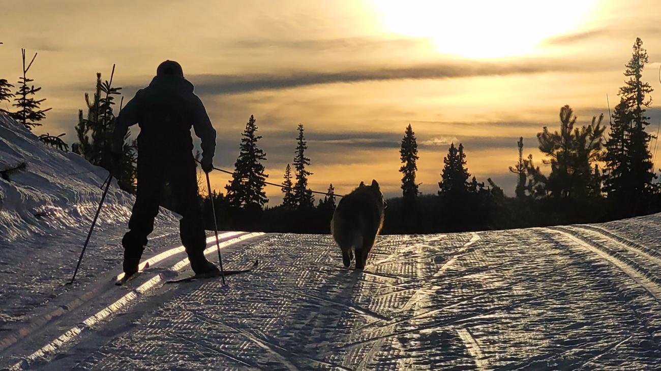 cross country skiing