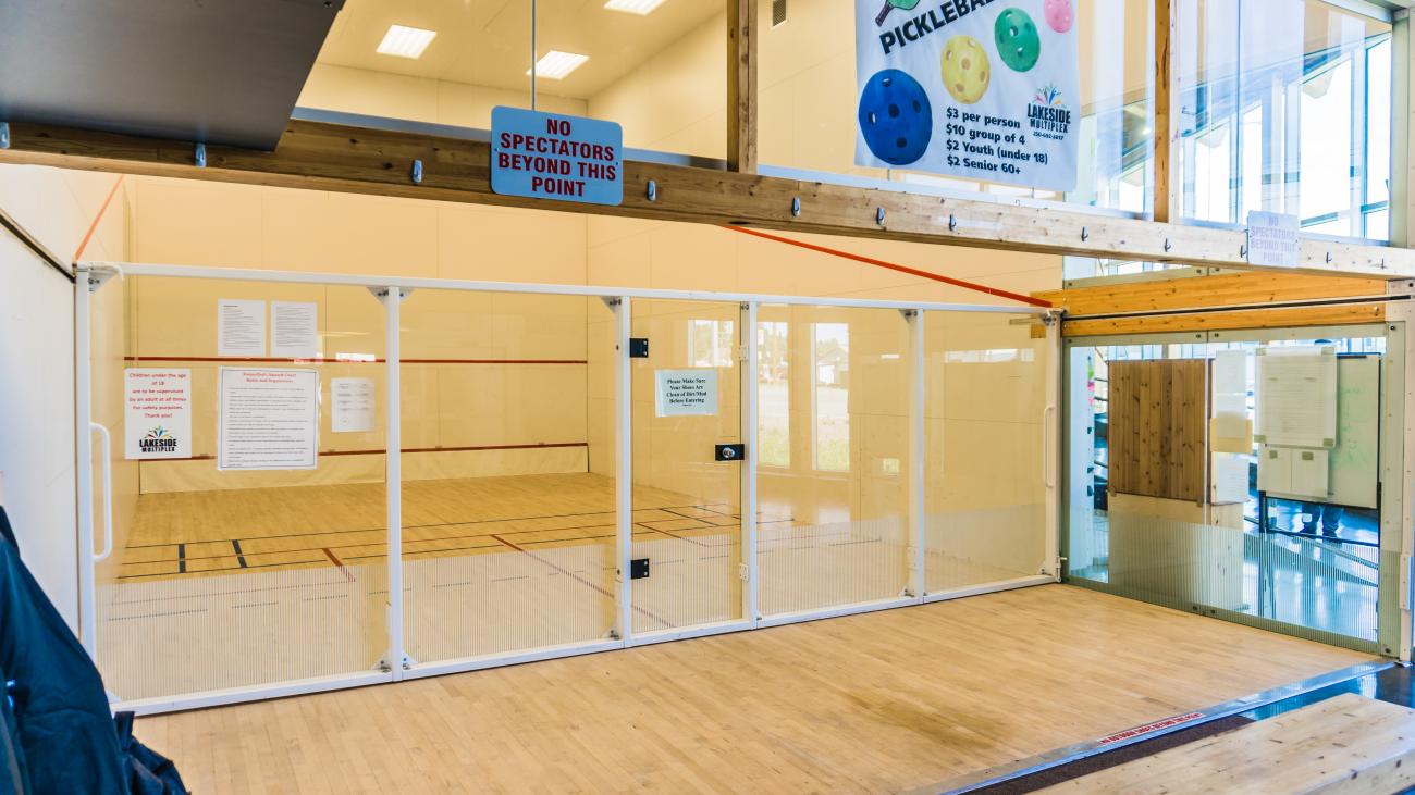 squash and racket ball