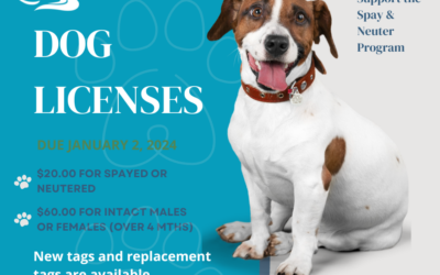 Dog Licenses